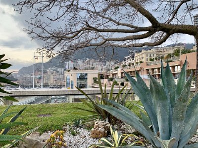 Tuesday, 7 March 2023 Another view of Monte Carlo with the MYC masts in sight.