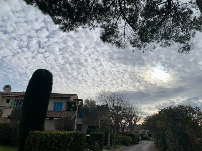 Wednesday, 8 March 2023 Walking back to Sussie's place in the domaine, I was entranced by the gorgeous sky