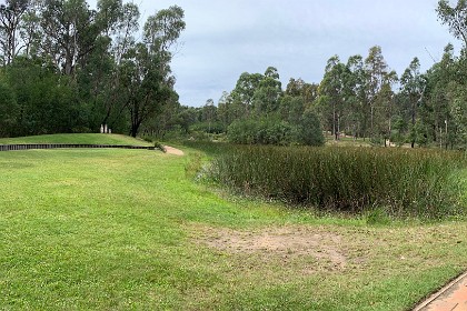 Wednesday 06, March 2024 Stitched photo of the reed pond.