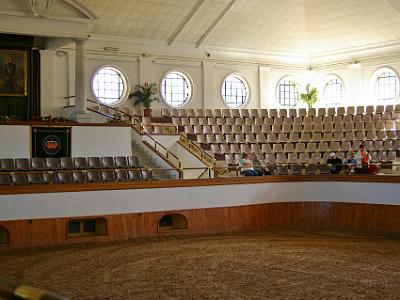 Tuesday 28 March, 2006  Inside the arena. We were not allowed to photograph the horses as flash photography upsets them.