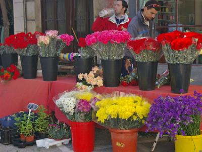 Tuesday 28 March, 2006  Locally grown flowers.