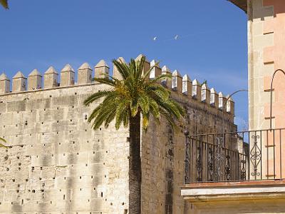 Wednesday 29 March, 2006  Two cranes fly over the Alcazar.