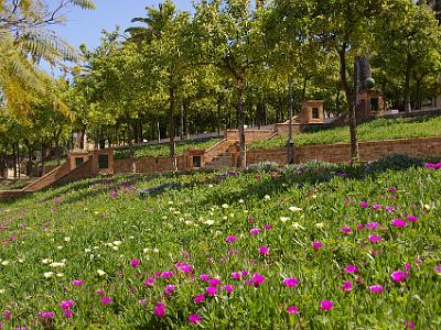 Wednesday 29 March, 2006  From the winery entrance, looking up to the plaza is filled with flowering ground cover.