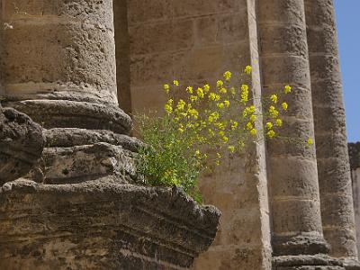 Wednesday 29 March, 2006  . . . but almost exactly 500 years since the reconquest of Jerez.  Amazing!