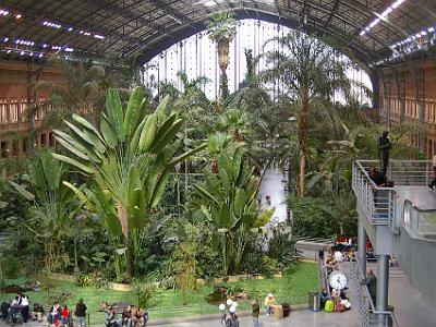 Wednesday 22 March, 2006  These tropical gardens are inside Atocha station.  A feature of Madrid is its wonderful public gardens which are maintained to the highest level. The clock shows the time as being 12:25 PM.