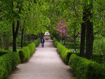 Wednesday 5 April, 2006  The park is called El Retiro for short and is 1.4 km² (350 acres). The park dates from the 1620s, when the Count-Duke of Olivares gave the king several tracts of land in the vicinity for the Court's recreational use.