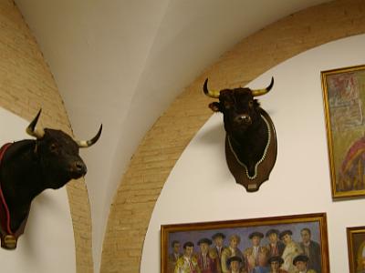 Thursday 23  March, 2006  These are the heads of the "bravest" bulls - however that may be defined.