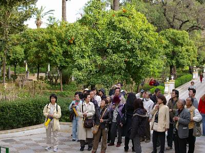 Thursday 23 March, 2006  In the Jardines de las Reales Alcazares. We found it extremely difficult to communicate with the natives but there was at least some English spoken in the hotels. No wonder Koreans and Japanese have to travel in groups.