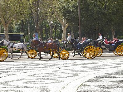 Friday 24 March, 2006  For €30 a driver will take you on a 30-45 minute tour of the city in a horse and buggy.