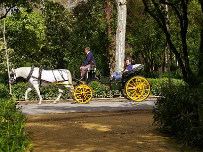 Friday 24 March, 2006  The horse and carriage provides a very pleasant way to visit this area.