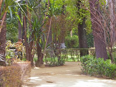 Sunday 26 March, 2006  . . . into the Alcazar's gardens.