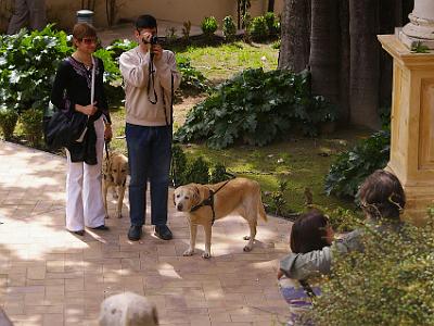 Sunday 26 March, 2006  Taking photographs of a blind couple who, sadly, will never get to see them.