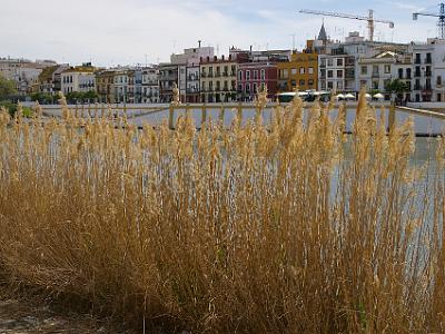 Sunday 26 March, 2006  The Triana neighborhood shares what is effectively an island (sitting between two arms of the Guadalquivir) except for a narrow strip to the north where it is an underground canal.