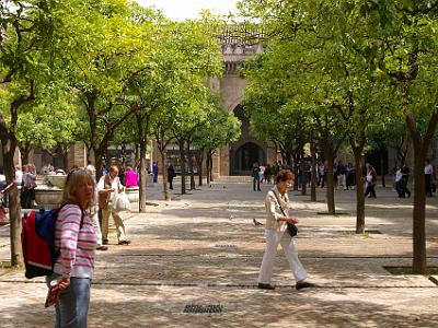 Monday 27 , 2006  Back at ground level in the Patio de los Naranjos, the original Moorish entrance.