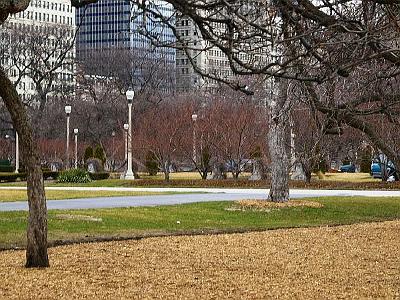 Monday 20 March, 2006  The area between Michigan Ave to the lake shore is taken up by parks and gardens. It's called Grant Park and is named after the civil war general Ulysses S Grant.